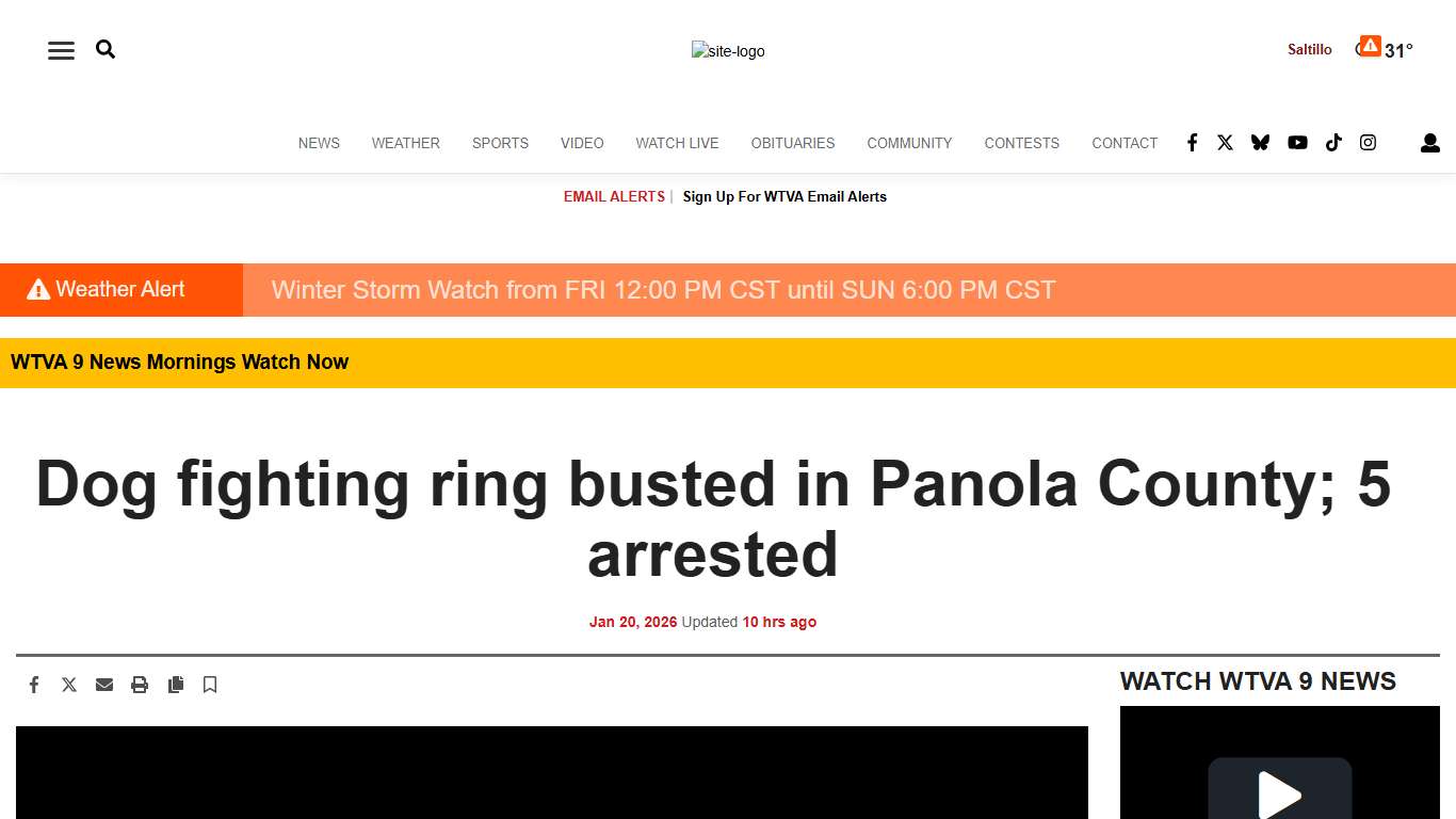 Dog fighting ring busted in Panola County; 5 arrested | Video | wtva.com